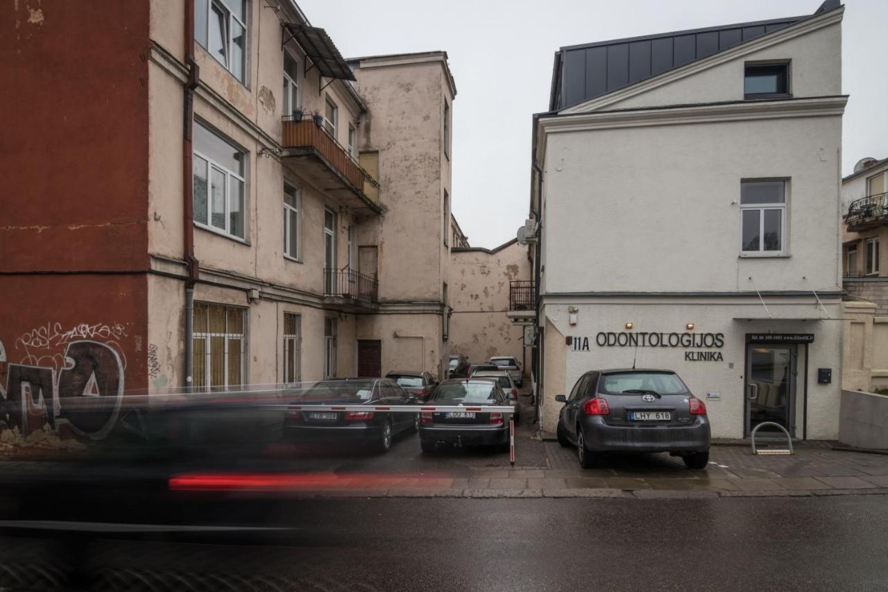 Dandelion Apartment In The Heart Of Kaunas Exteriör bild